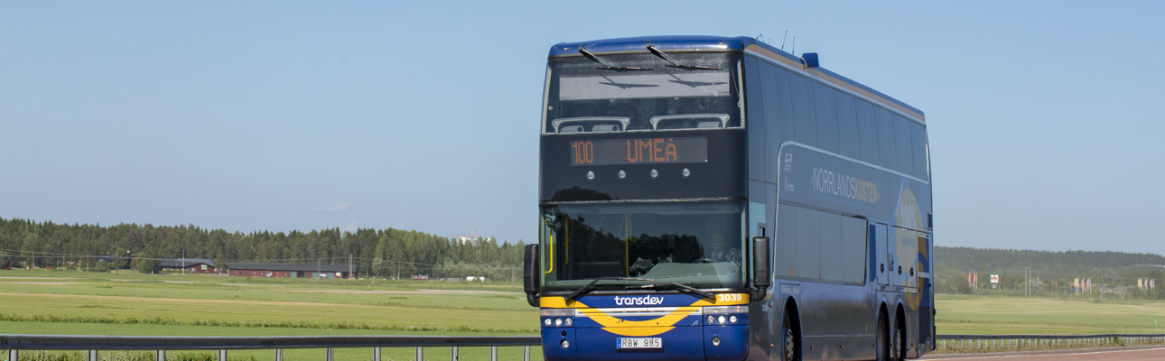 A road with a big bus